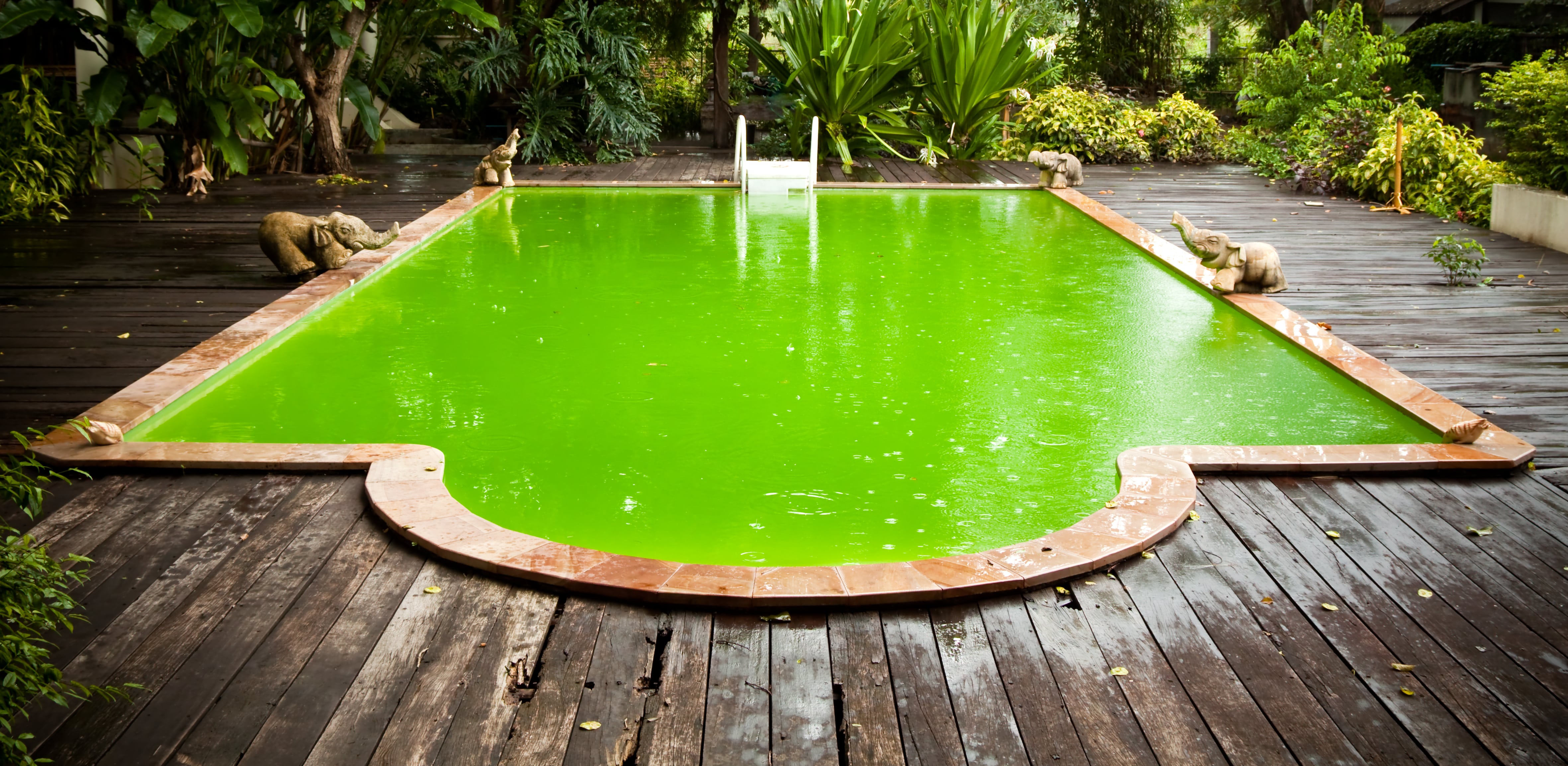 Comment traiter l’eau de sa piscine