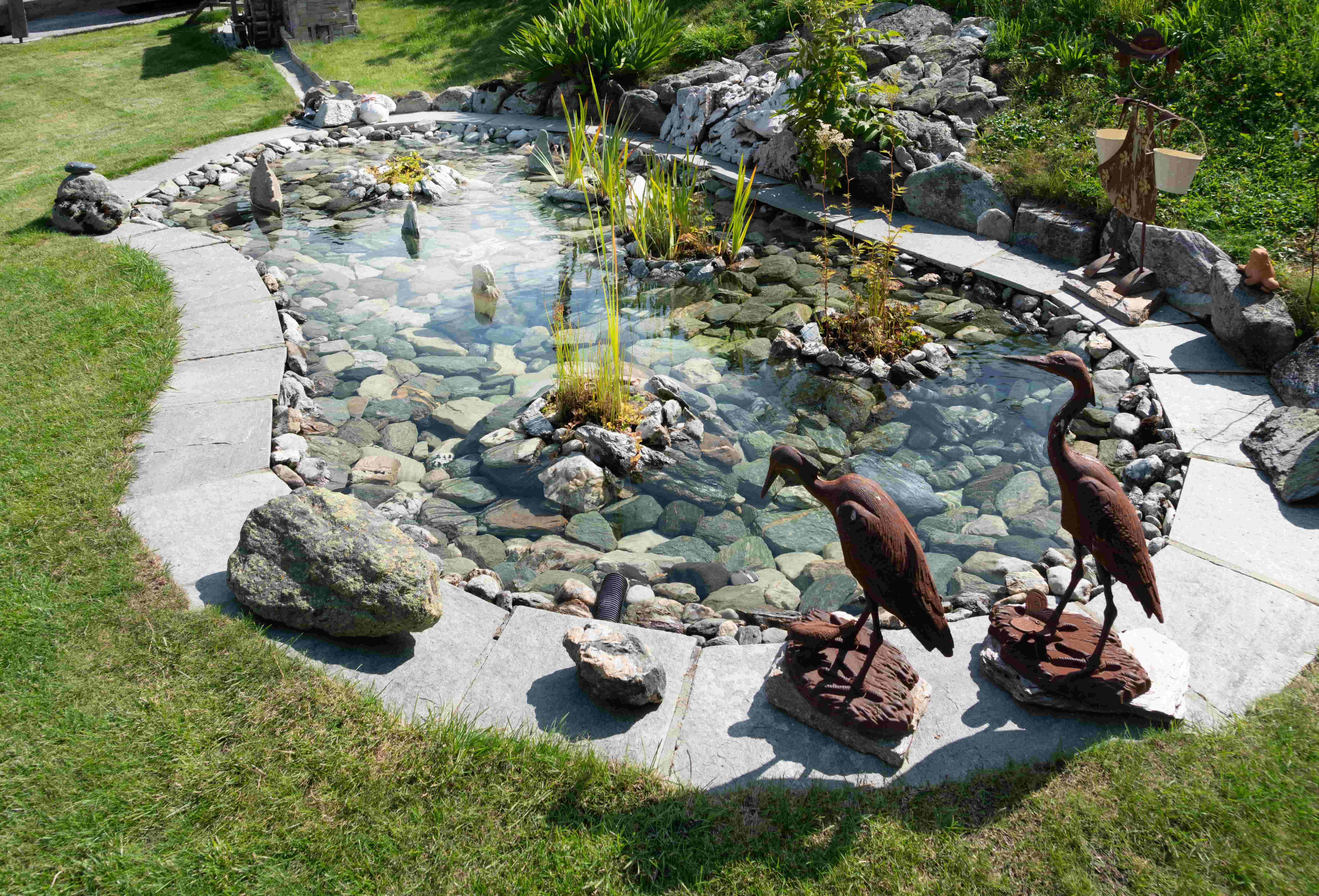 Construire un bassin de jardin et en prendre soin